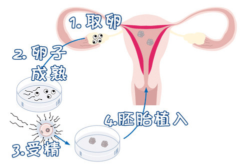 医疗环境
